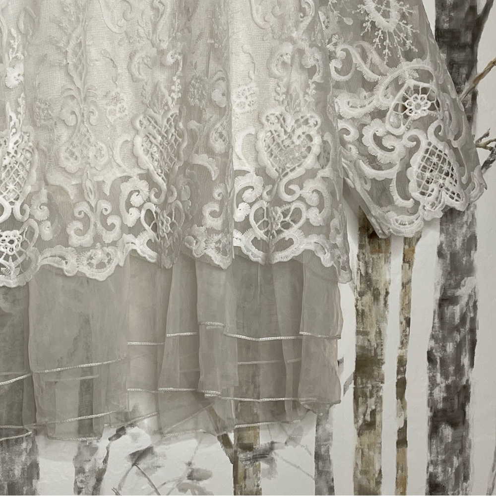 Simply Couture Winter White Elegant Embroidered Lace 3X P2P: 25.5” Length: 32” - Picture 3 of 9